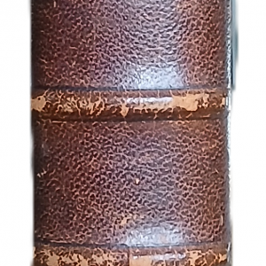 Emile Zola – Docteur Pascal – Livres anciens reliure cuir (1928) – BERNOUARD