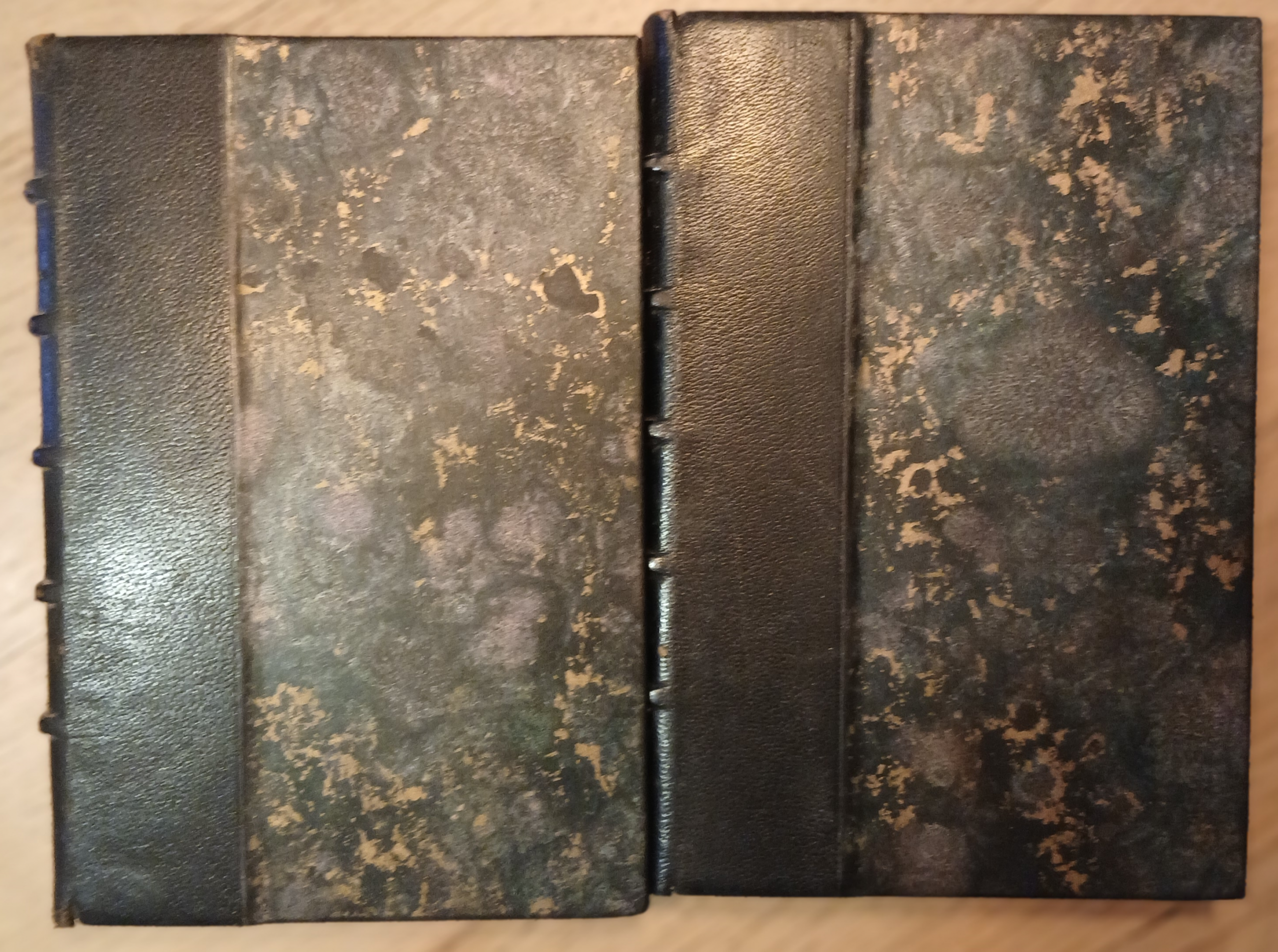 Emile Zola – Rome – Livres anciens reliure cuir (1928) – BERNOUARD – Image 2