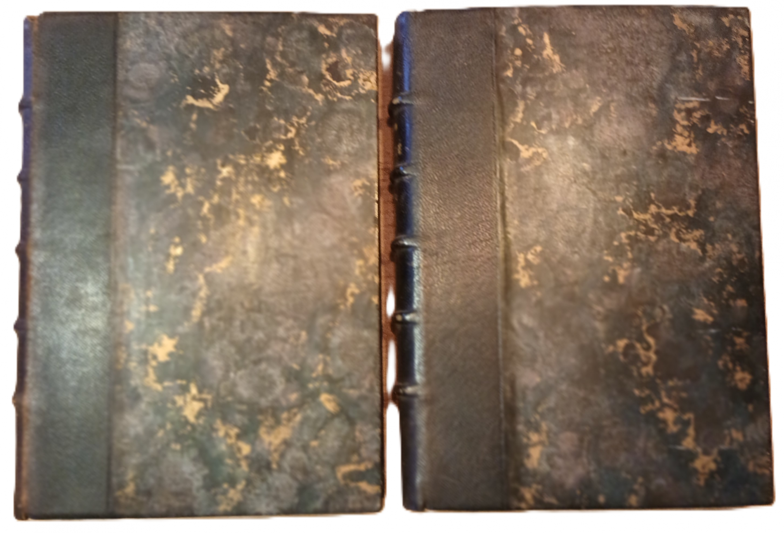 Emile Zola - Vérité - Livres anciens reliure cuir (1928) - BERNOUARD – Image 2