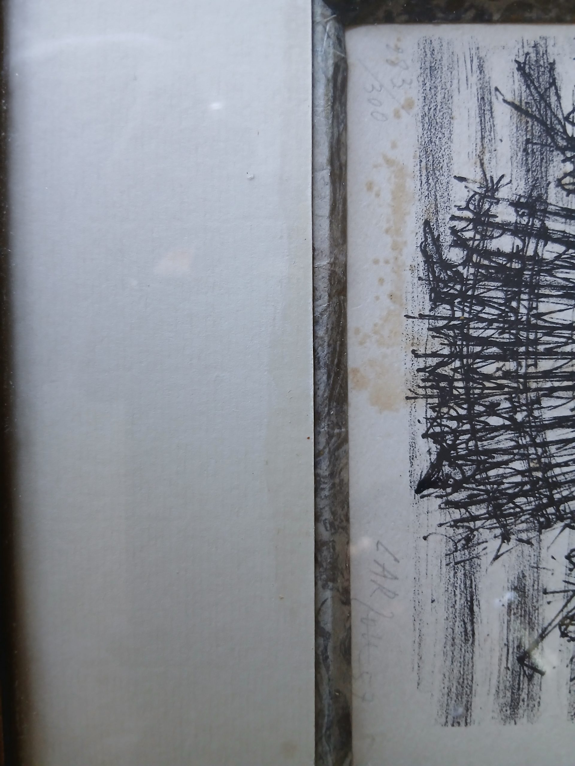 Lithographie Carzou "La femme au rameau d'Olivier" – Image 3