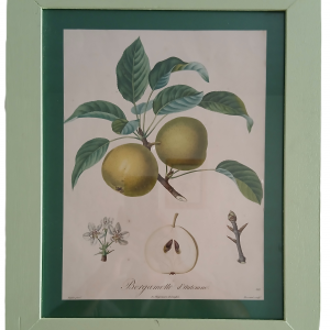 Cadre Bergamotte d’automne