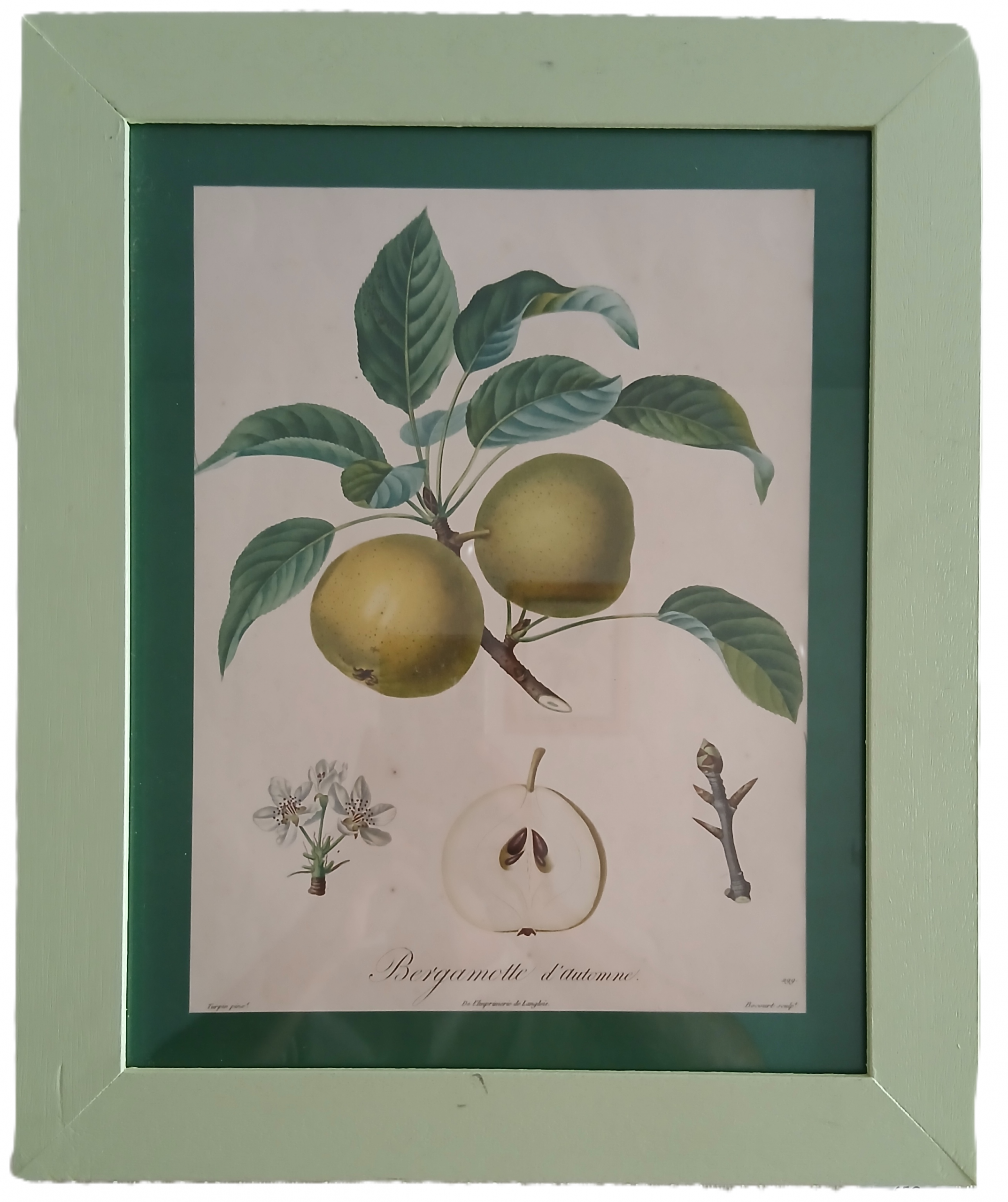 Cadre Bergamotte d'automne