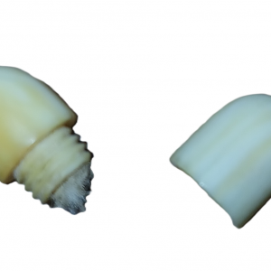 Collier très ancien perles