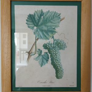 Cadre Corinthe blanc