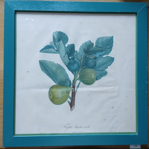 Cadre figue blanche ronde