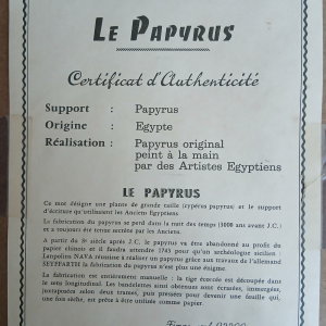 Petit papyrus encadré Pharaon