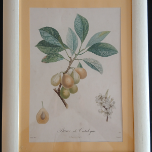 Cadre Prune de Catalogne