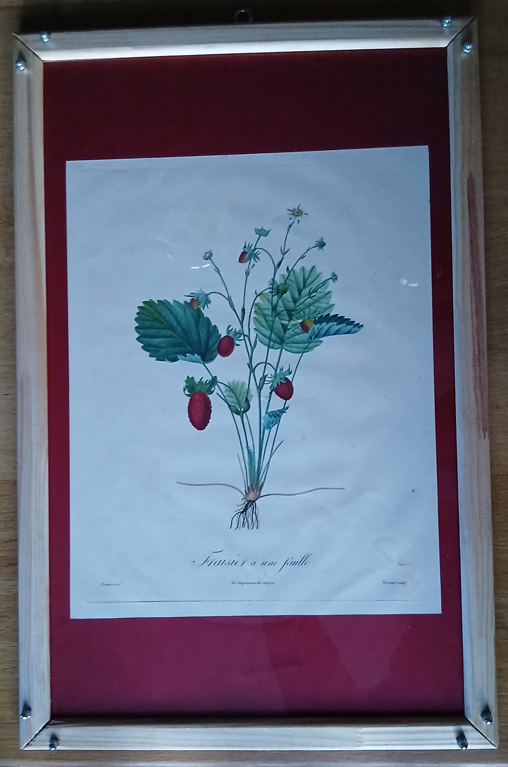 Cadre Fraisier à une feuille