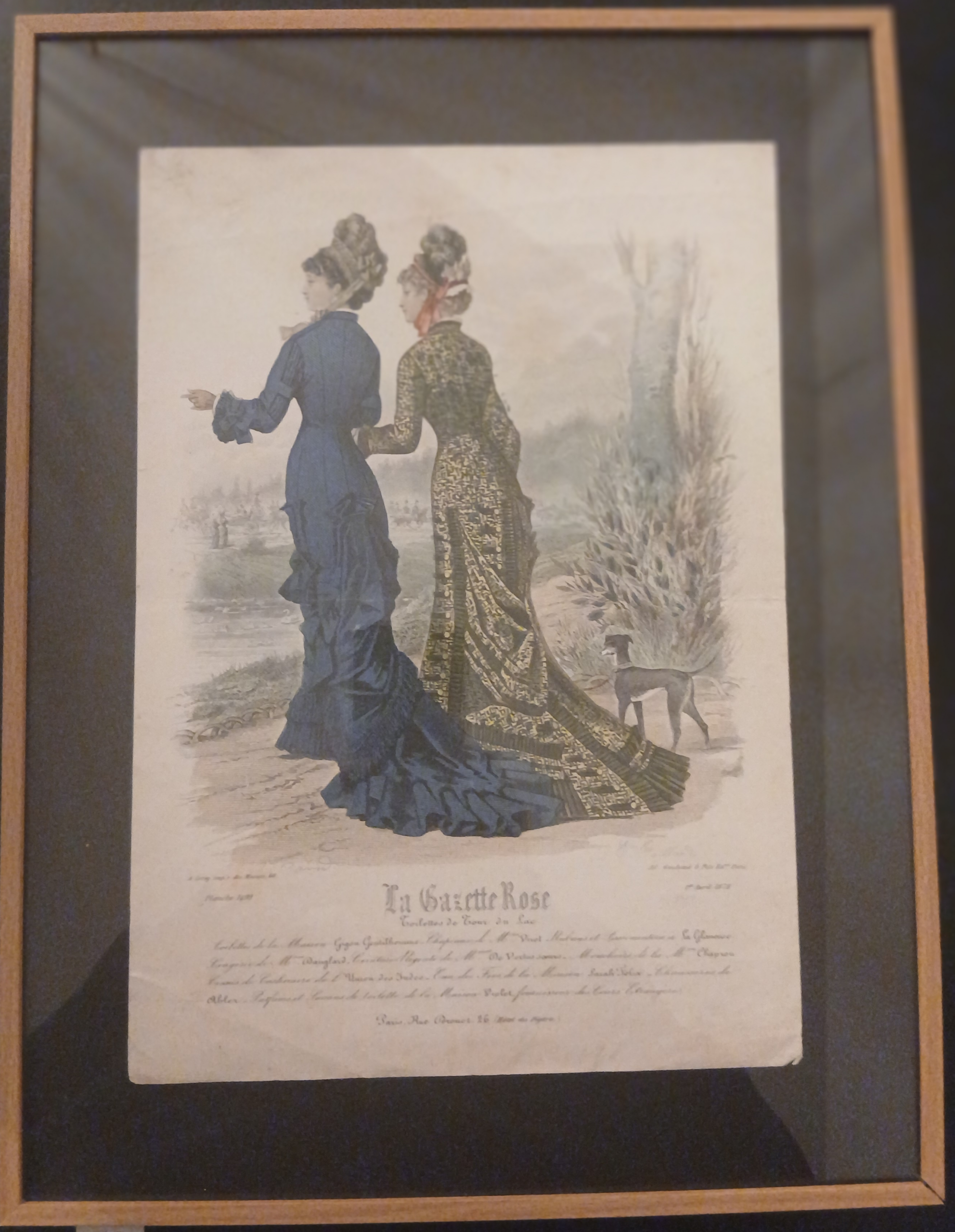 Dessin La Gazette rose "Toilettes du tour du lac"