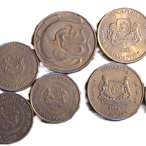 Lot pièces de monnaie Singapour